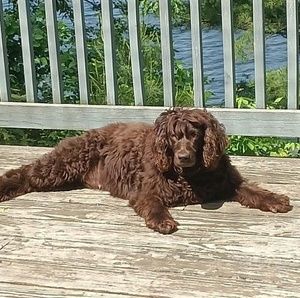 Meet your Posher, Mary